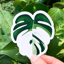 Load image into Gallery viewer, Monstera Albo Sticker
