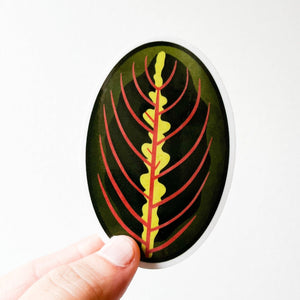 Red Prayer Plant Leaf Sticker