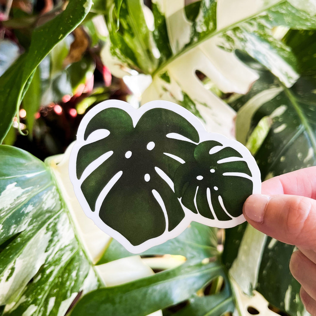 Monstera Plant Pals Sticker