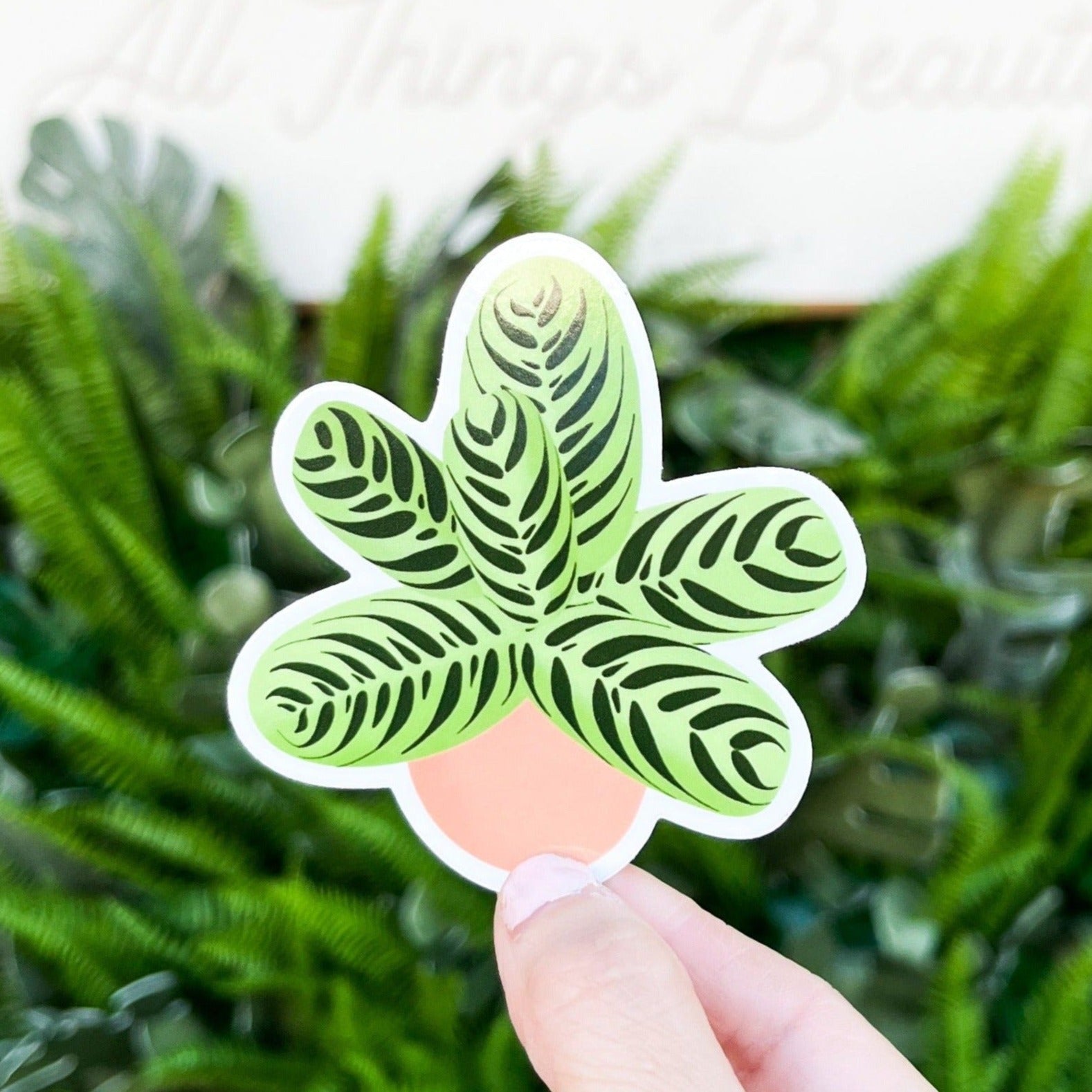calathea fishbone Calathea Fishbone Plant Sticker – Tiny Plant Market