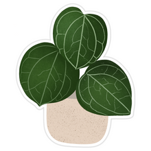Load image into Gallery viewer, Hoya Sarawak Plant Sticker
