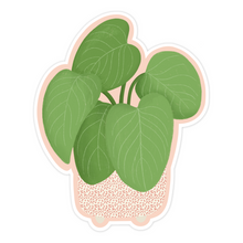 Load image into Gallery viewer, Philodendron Fuzzy Petiole Plant Sticker
