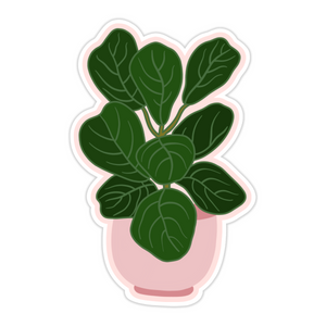 Fiddle Leaf Fig Plant Pot Sticker