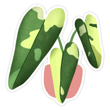 Load image into Gallery viewer, Philodendron Jose Buono Plant Sticker
