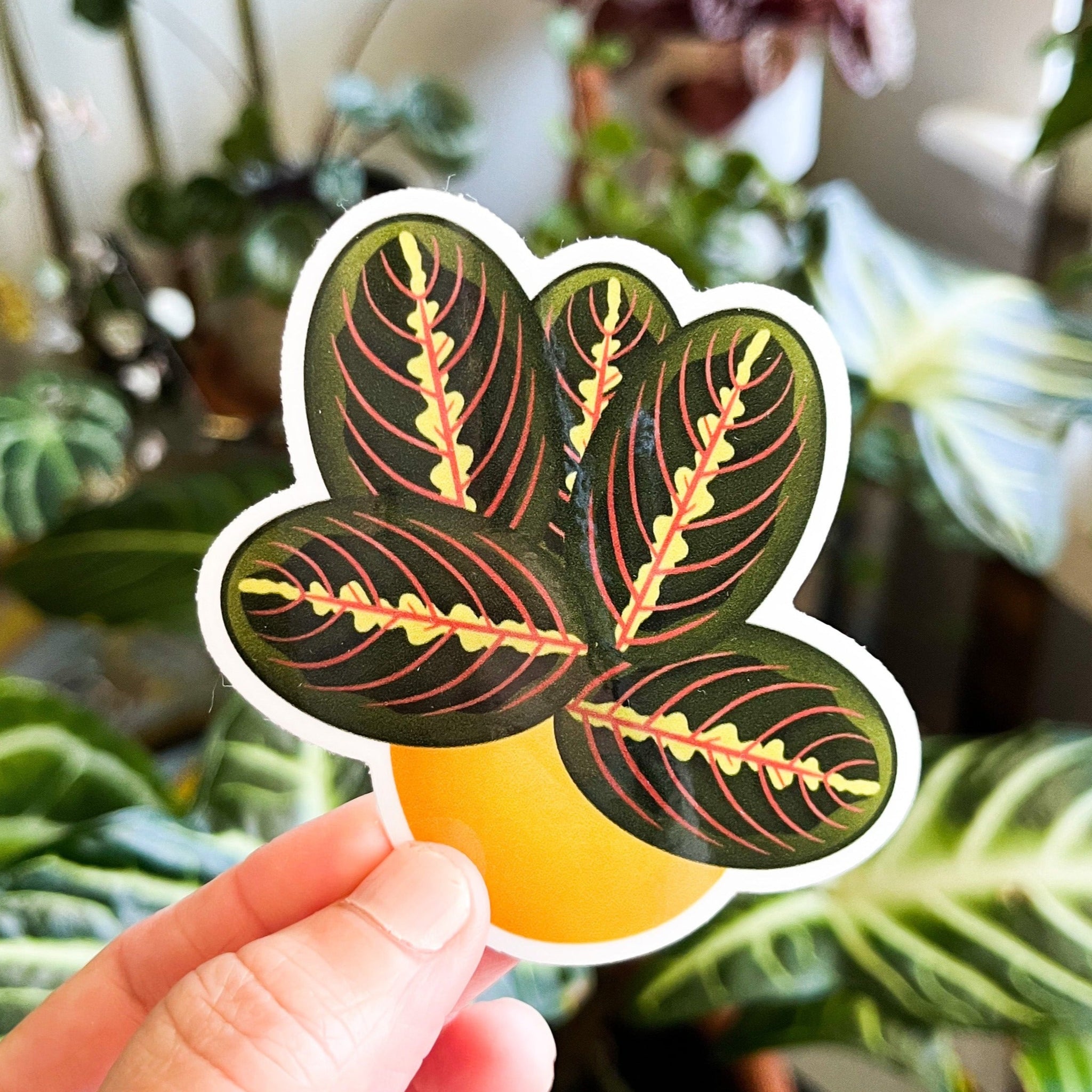 red prayer plant flower Red Prayer Plant Sticker – Tiny Plant Market