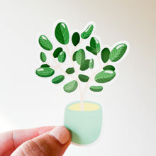 Load image into Gallery viewer, Ficus Audrey Plant Pot Sticker
