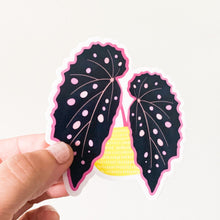 Load image into Gallery viewer, Pink Spotted Begonia Sticker
